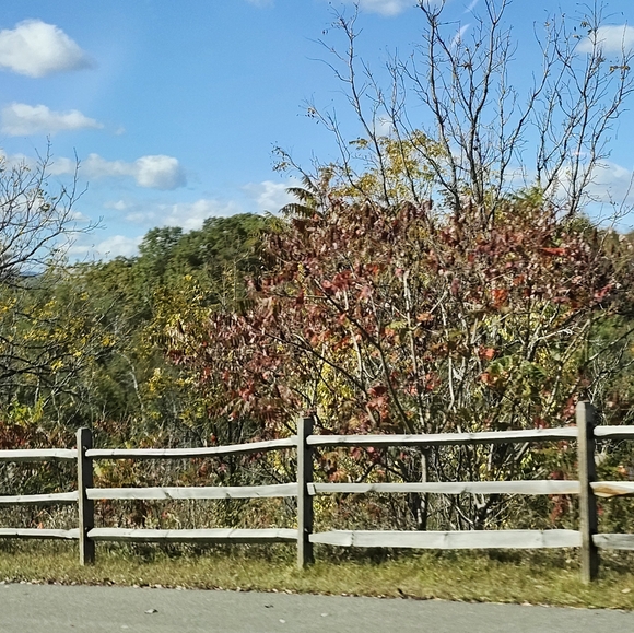 Bundle&Save - Picture 6 of 12